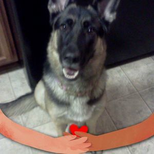 Meet your Posher, Tracy